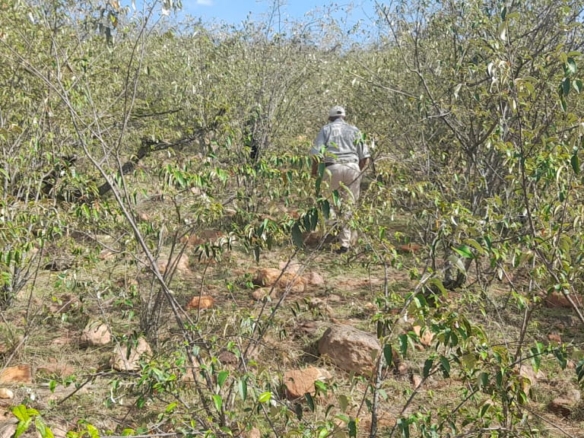 34 Acres for sale in Narok near Maasai Mara