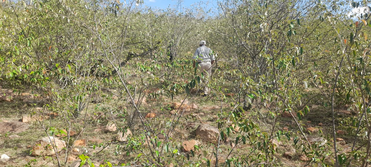 34 Acres for sale in Narok near Maasai Mara