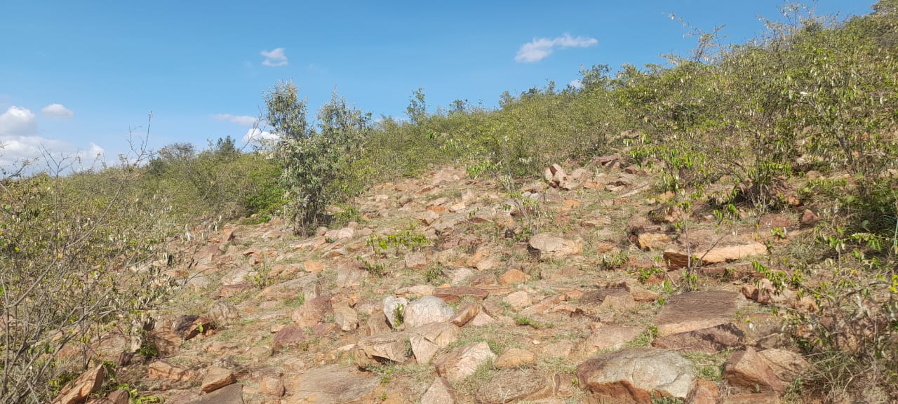 34 Acres for sale in Narok near Maasai Mara