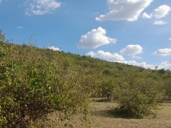 34 Acres for sale in Narok near Maasai Mara