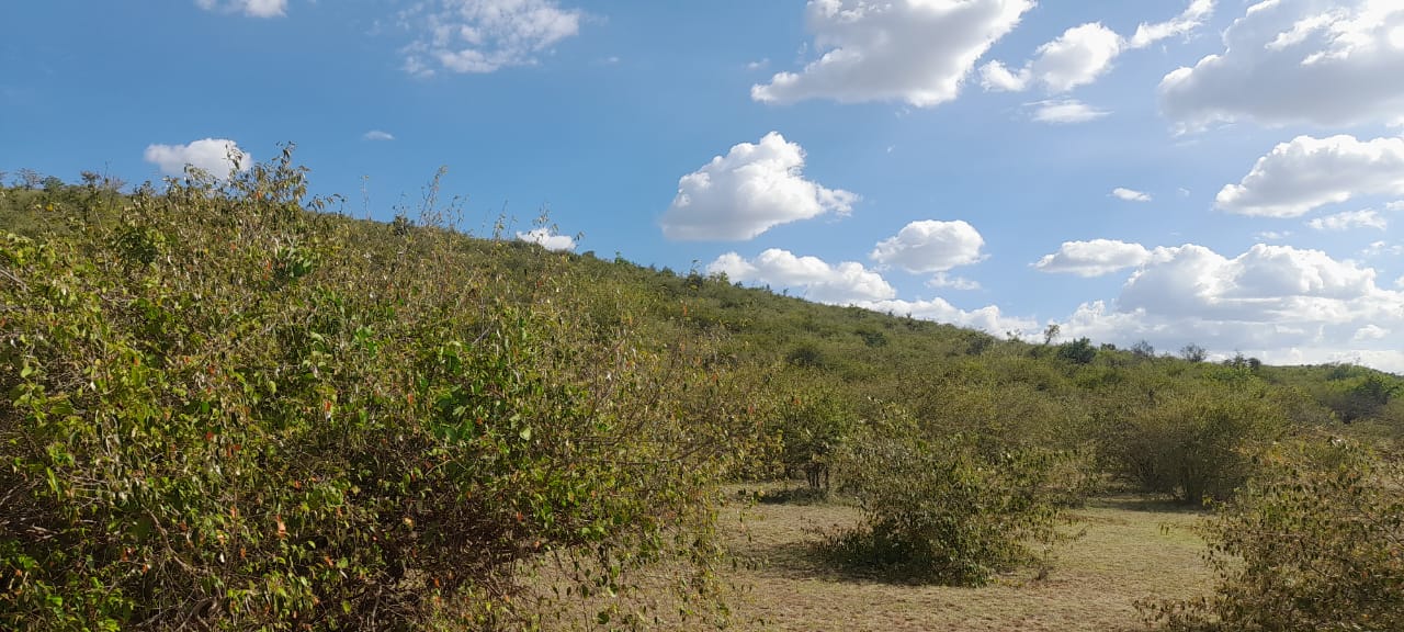 34 Acres for sale in Narok near Maasai Mara