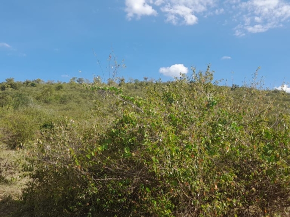 34 Acres for sale in Narok near Maasai Mara
