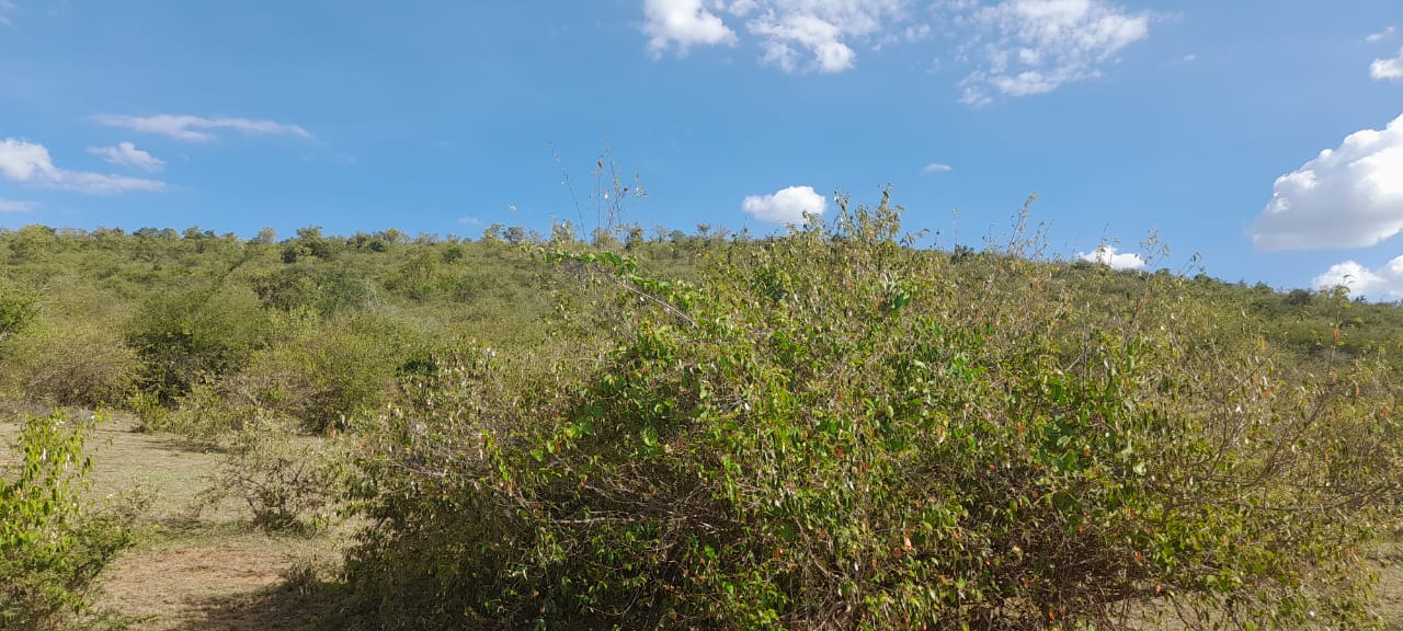 34 Acres for sale in Narok near Maasai Mara