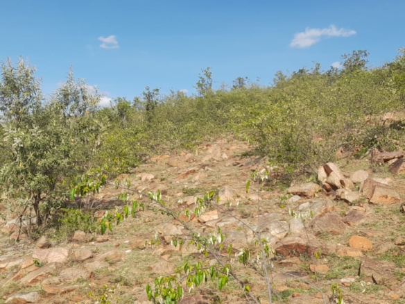 34 Acres for sale in Narok near Maasai Mara