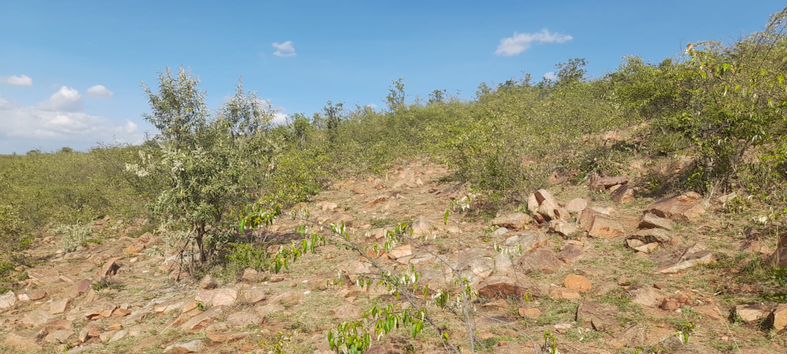 34 Acres for sale in Narok near Maasai Mara