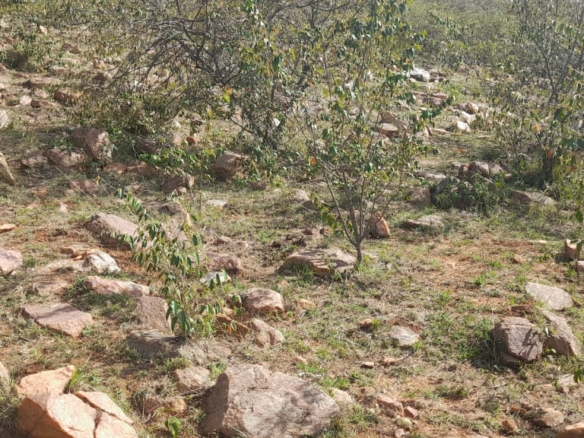 34 Acres for sale in Narok near Maasai Mara