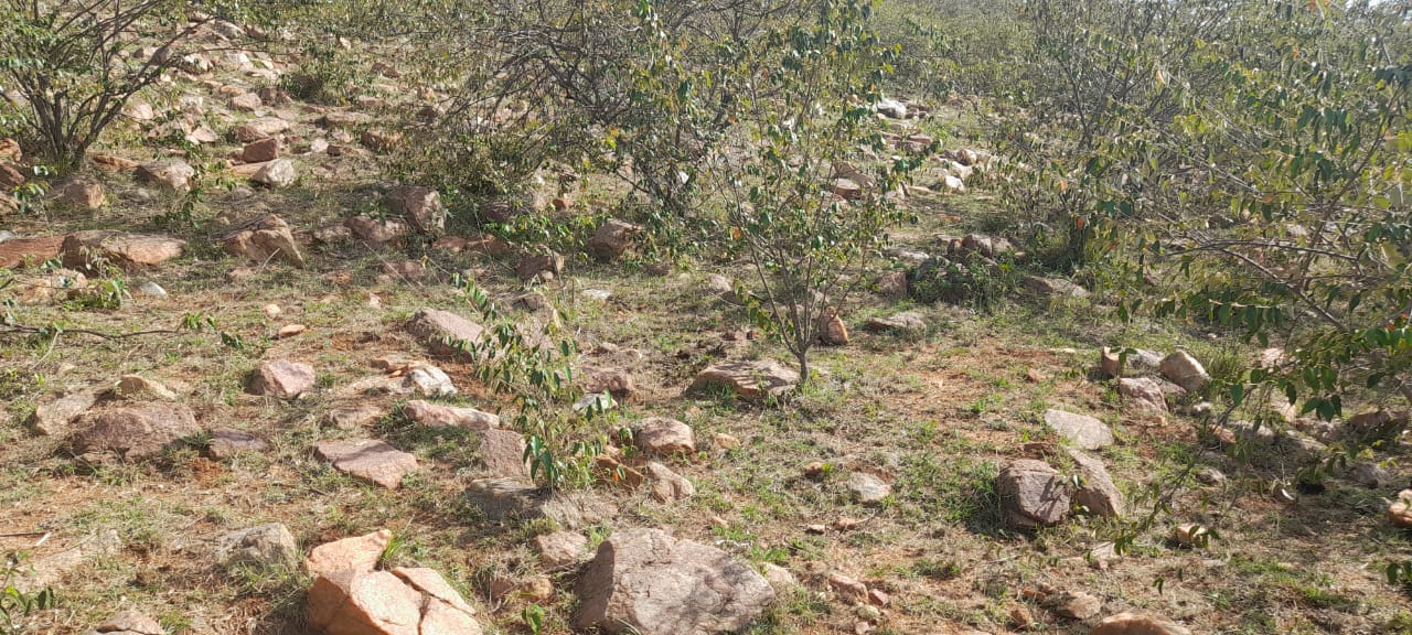 34 Acres for sale in Narok near Maasai Mara