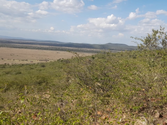 34 Acres for sale in Narok near Maasai Mara
