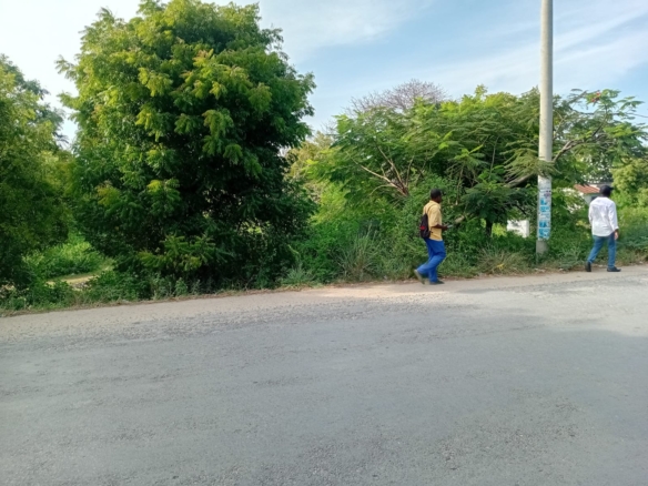 1.2 Acre for sale in Watamu