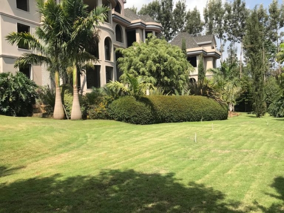 Hotel suites for sale in Nyeri Town on 1.5 acres, 86% complete. Ideal for investors seeking a near-ready hospitality project. Asking KSh 130M.