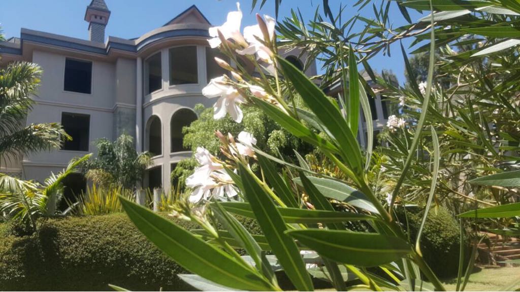 Hotel suites for sale in Nyeri Town on 1.5 acres, 86% complete. Ideal for investors seeking a near-ready hospitality project. Asking KSh 130M.