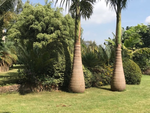 Hotel suites for sale in Nyeri Town on 1.5 acres, 86% complete. Ideal for investors seeking a near-ready hospitality project. Asking KSh 130M.