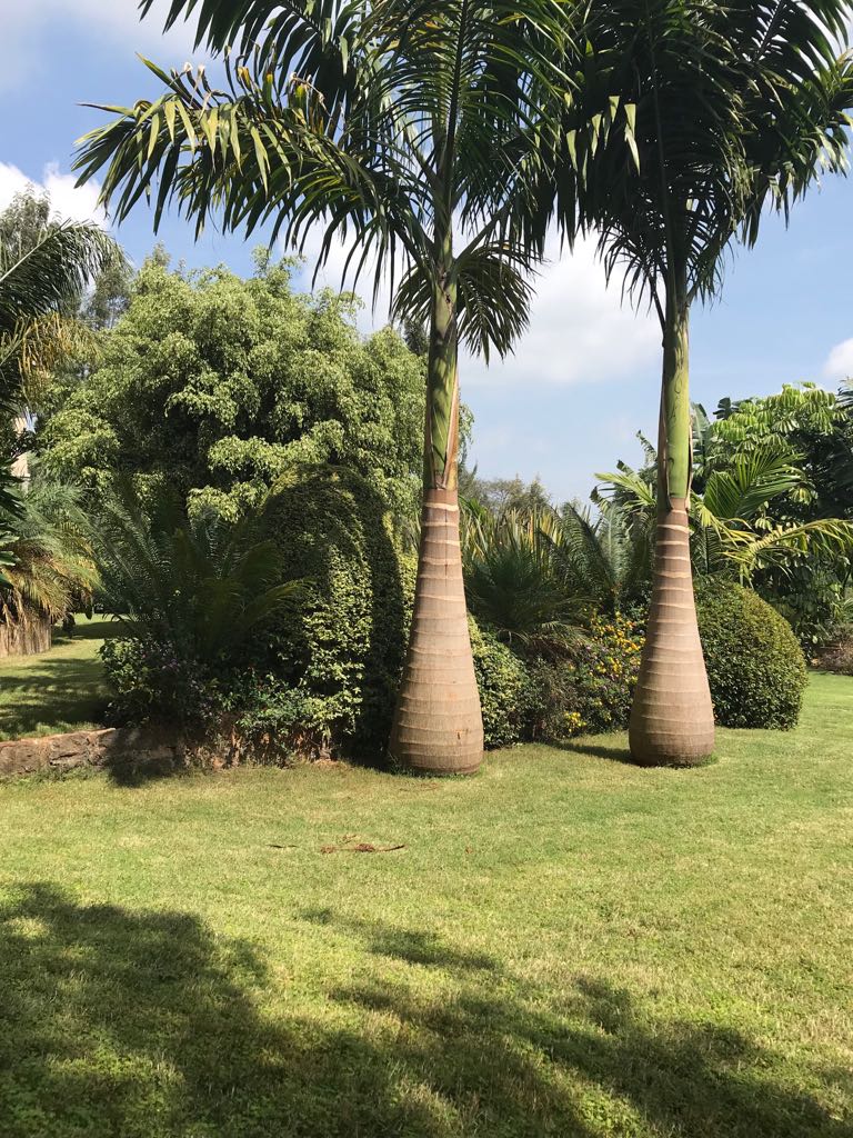 Hotel suites for sale in Nyeri Town on 1.5 acres, 86% complete. Ideal for investors seeking a near-ready hospitality project. Asking KSh 130M.