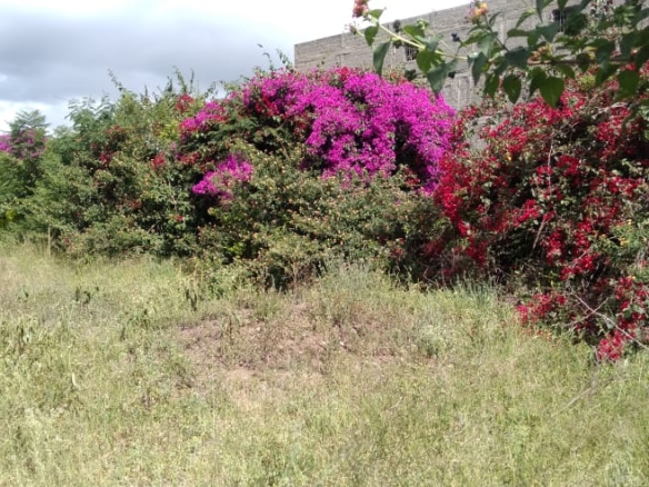 Prime ¼-acre land for sale in Kitengela Town with full utilities, secure surroundings, and high development potential. Perfect for residential, commercial, or mixed-use projects.