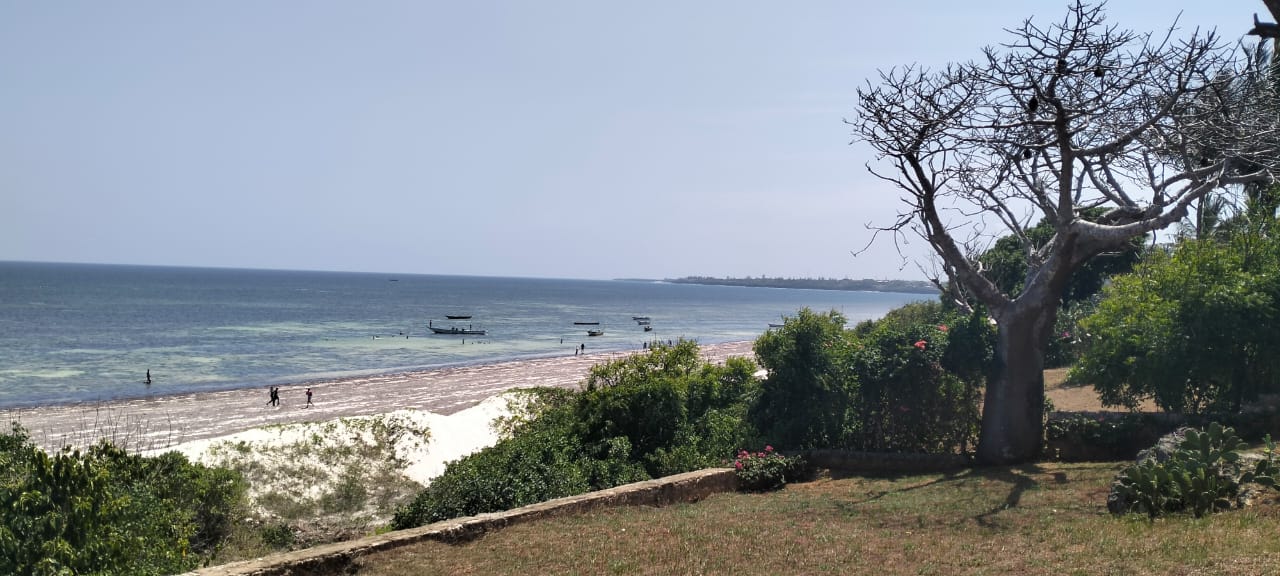 Beachfront Villa on 4.2 Acres for sale on Bofa Beach in Kilifi