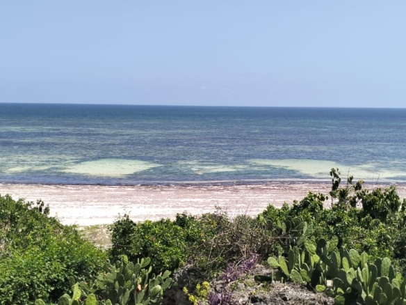 Beachfront Villa on 4.2 Acres for sale on Bofa Beach in Kilifi