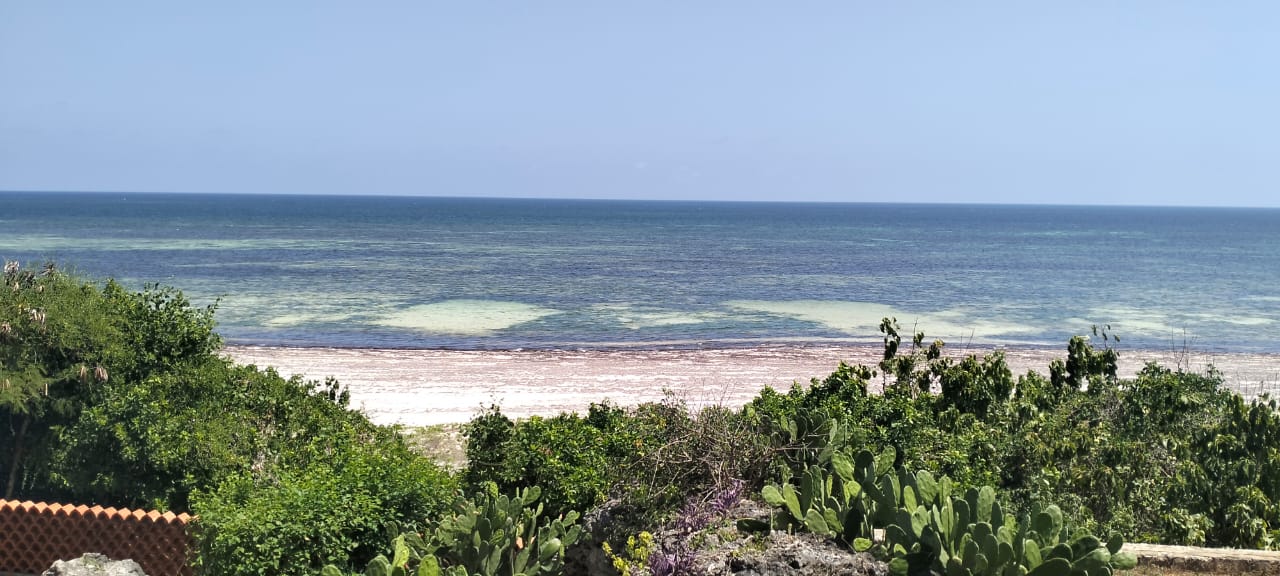 Beachfront Villa on 4.2 Acres for sale on Bofa Beach in Kilifi