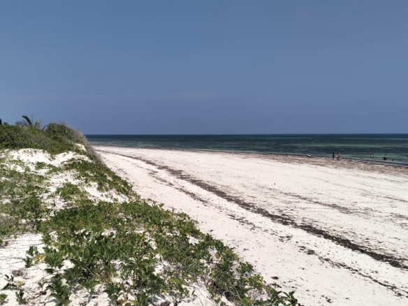 Beachfront Villa on 4.2 Acres for sale on Bofa Beach in Kilifi