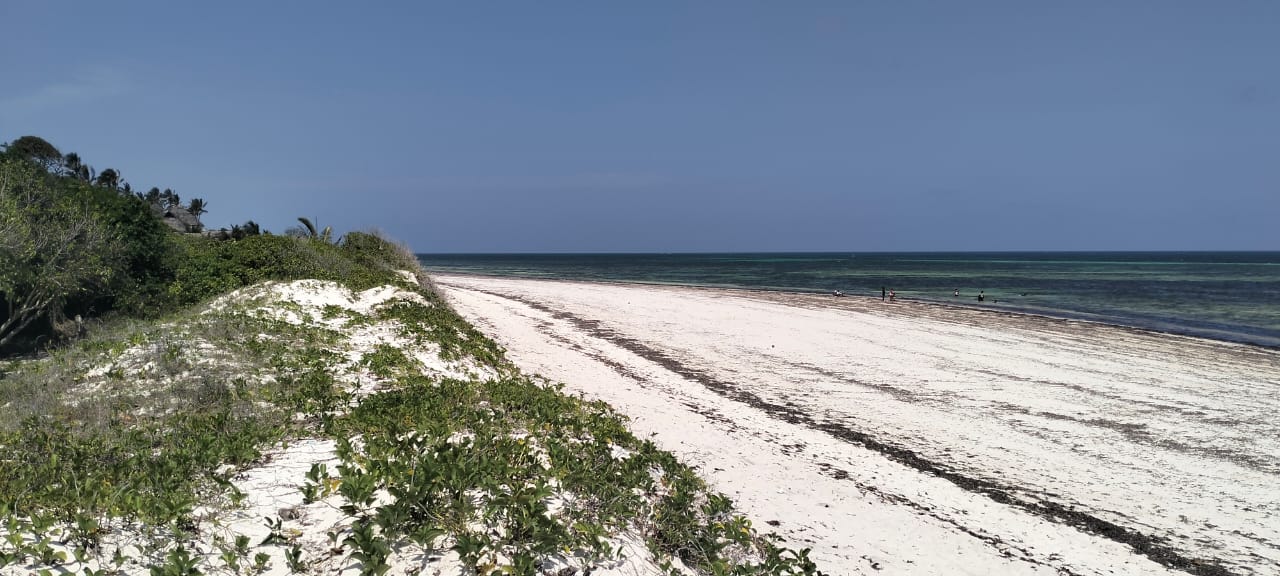 Beachfront Villa on 4.2 Acres for sale on Bofa Beach in Kilifi