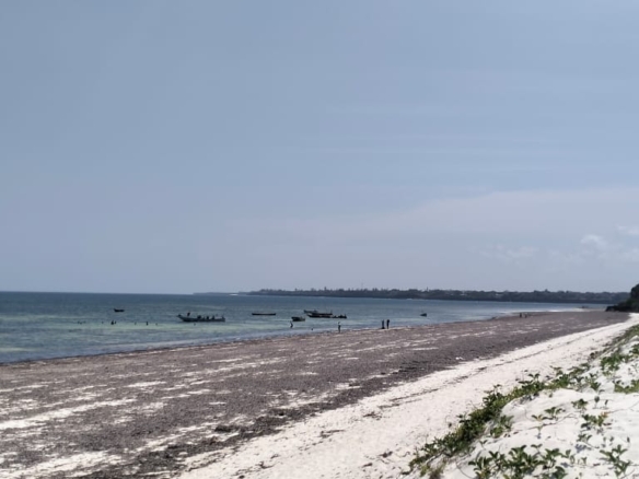 Beachfront Villa on 4.2 Acres for sale on Bofa Beach in Kilifi