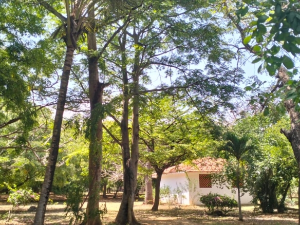 Beachfront Villa on 4.2 Acres for sale on Bofa Beach in Kilifi