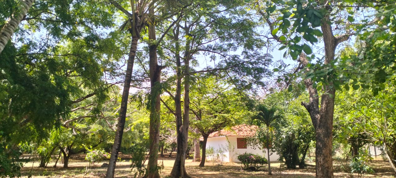 Beachfront Villa on 4.2 Acres for sale on Bofa Beach in Kilifi