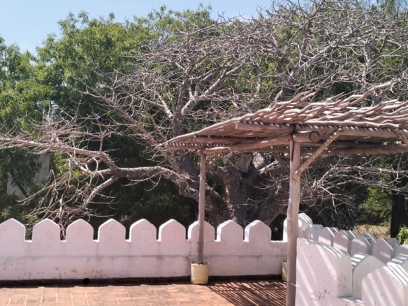 Beachfront Villa on 4.2 Acres for sale on Bofa Beach in Kilifi