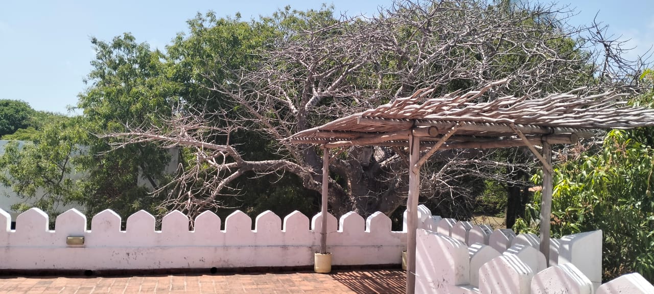 Beachfront Villa on 4.2 Acres for sale on Bofa Beach in Kilifi