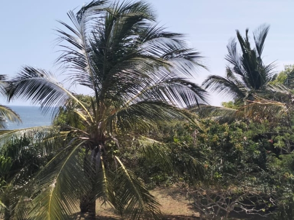 Beachfront Villa on 4.2 Acres for sale on Bofa Beach in Kilifi