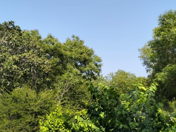 Prime 10 Acres for sale in Msabaha Malindi