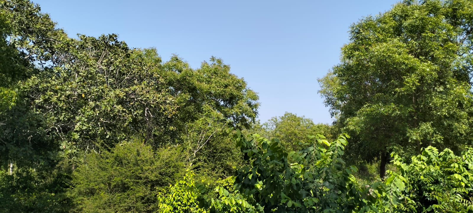 Prime 10 Acres for sale in Msabaha Malindi