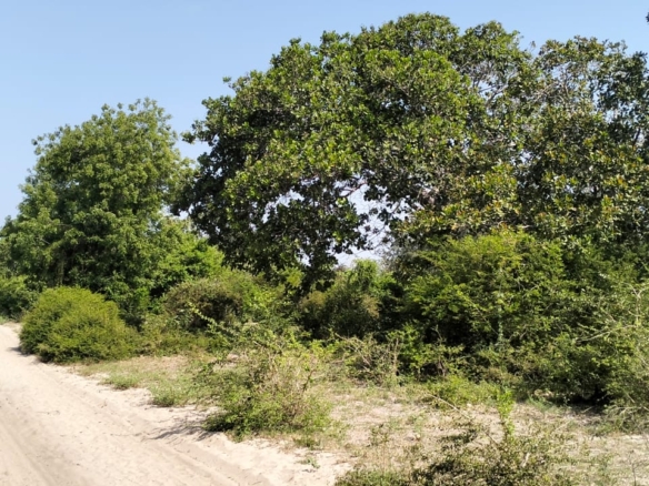 Prime 10 Acres for sale in Msabaha Malindi