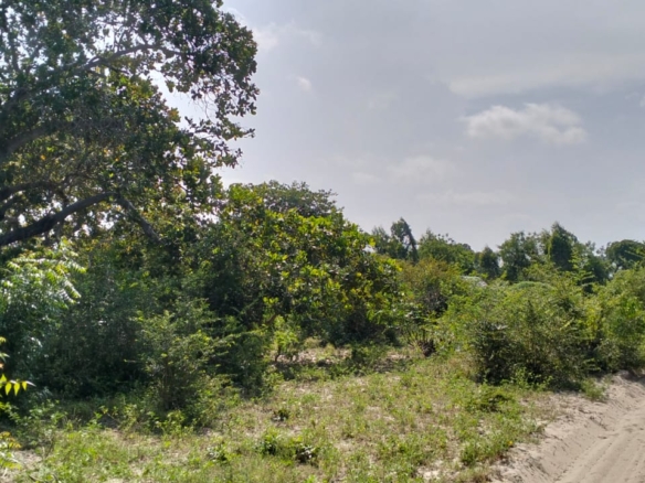 Prime 10 Acres for sale in Msabaha Malindi