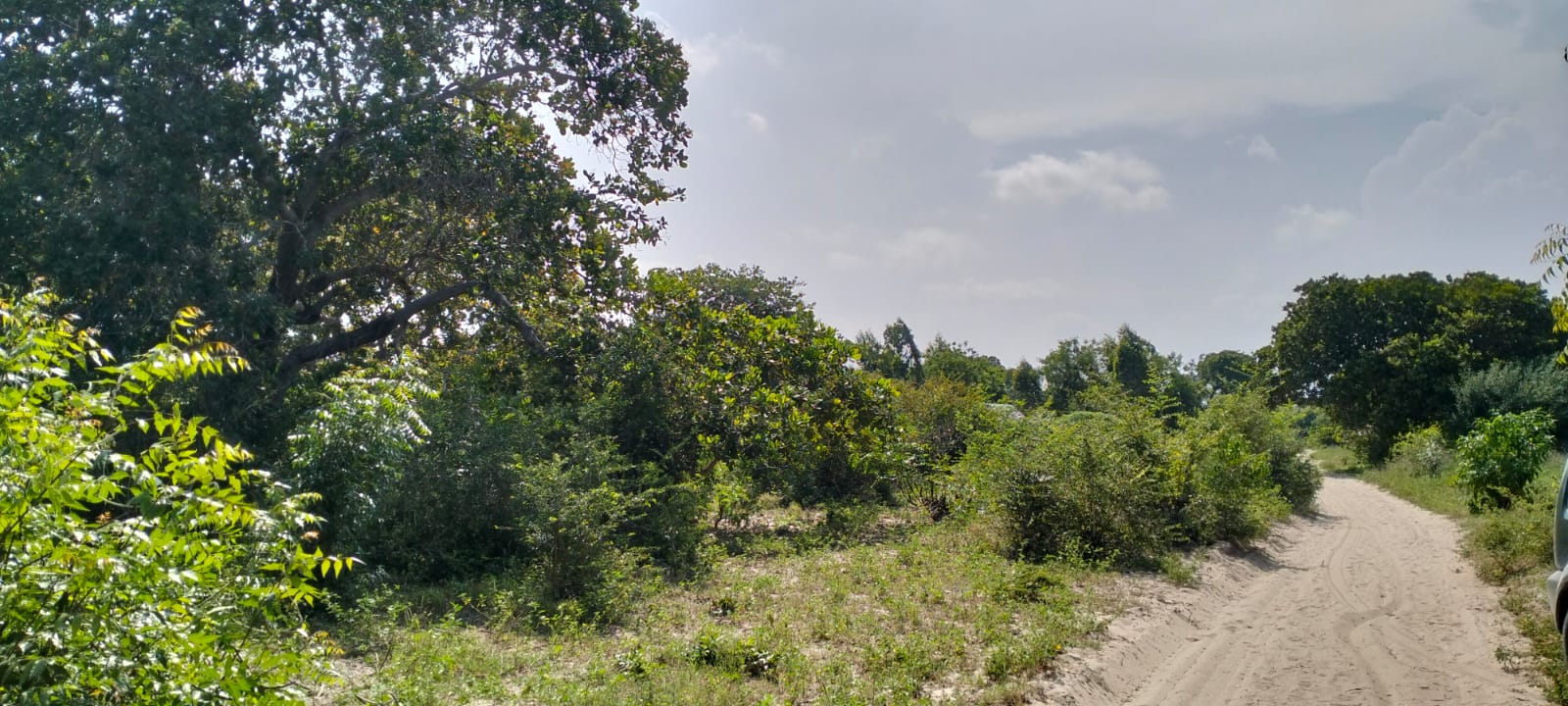 Prime 10 Acres for sale in Msabaha Malindi