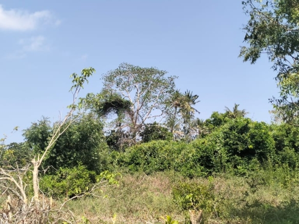 Prime 10 Acres for sale in Msabaha Malindi