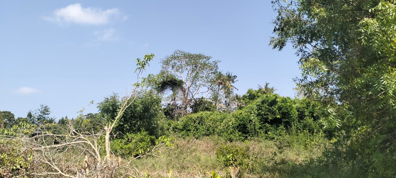 Prime 10 Acres for sale in Msabaha Malindi
