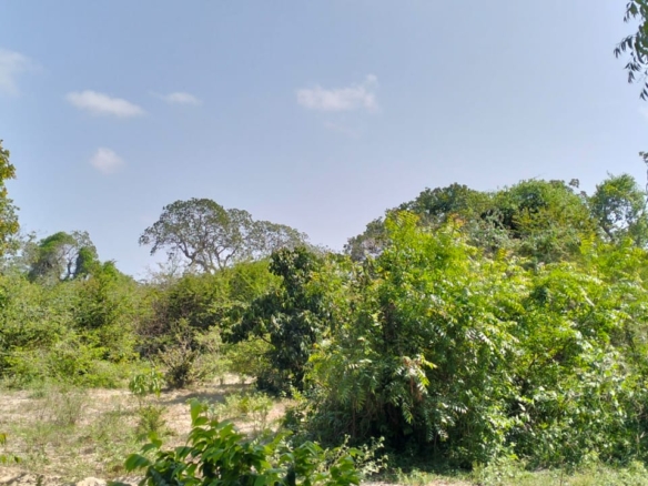 Prime 10 Acres for sale in Msabaha Malindi