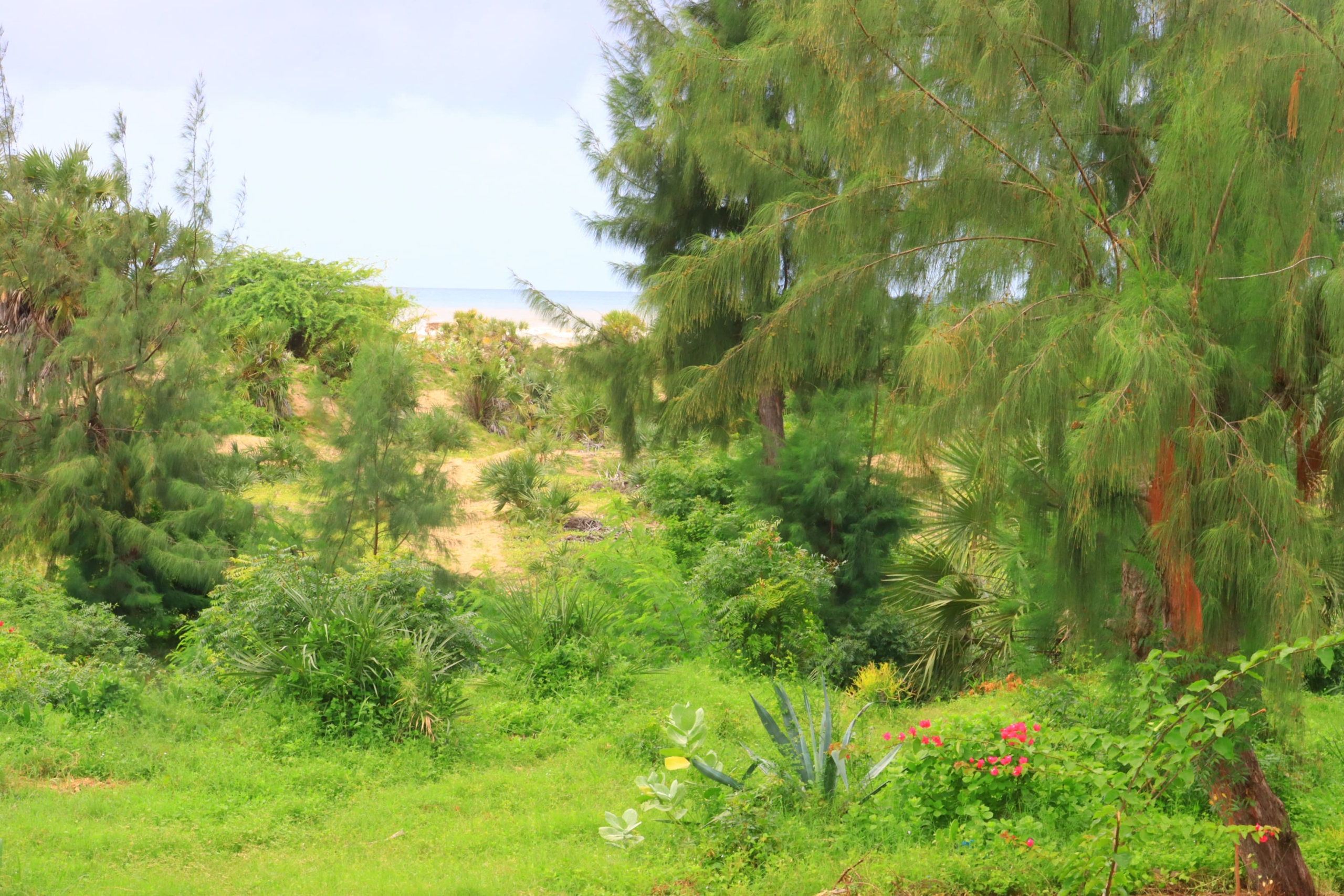 Beachfront Villa for shortstays in Malindi