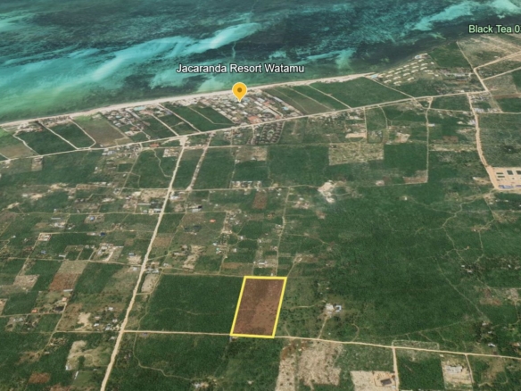 Prime 3-acre land for sale in Watamu’s Jacaranda area—totaling Ksh 36M—ideal for holiday homes, boutique resorts, and land banking. Only 1.4KM from Jacaranda Beach with a clean title and excellent access.