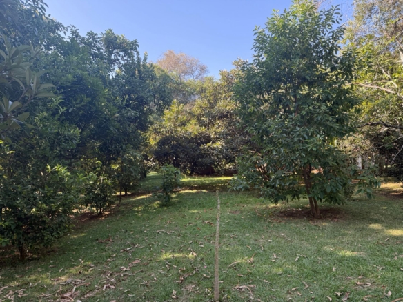 Luxurious 4.45-acre estate in Hardy, Langata with three houses, pool, borehole, solar power, and premier security. Set along Milima Road. Ideal for luxury living or investment.