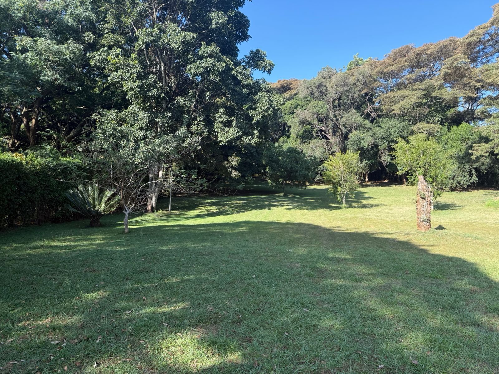 Luxurious 4.45-acre estate in Hardy, Langata with three houses, pool, borehole, solar power, and premier security. Set along Milima Road. Ideal for luxury living or investment.