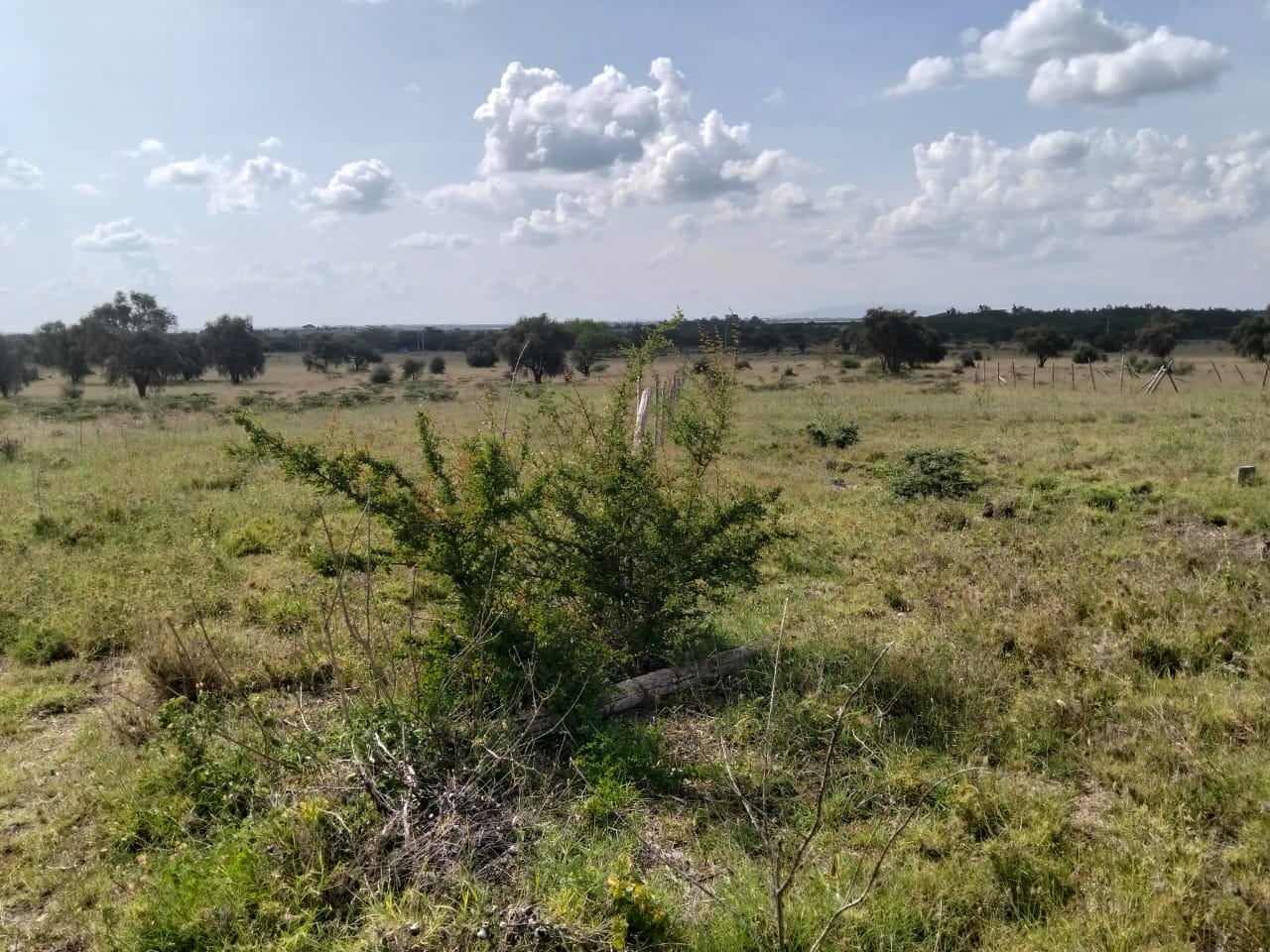 Prime acreage available in the Kitengela–Kisaju area just 900 metres from tarmac. Choose from 4-acre, 2-acre, and 1.5-acre parcels ideal for both residential and commercial development.