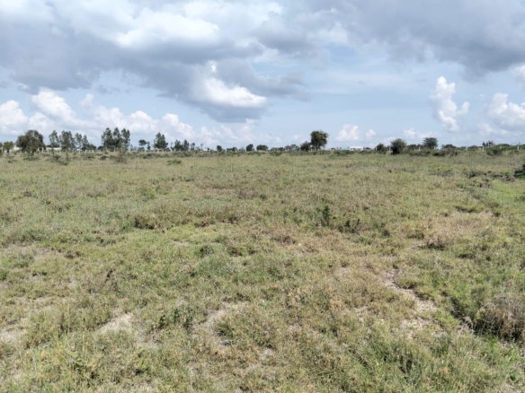 Prime acreage available in the Kitengela–Kisaju area just 900 metres from tarmac. Choose from 4-acre, 2-acre, and 1.5-acre parcels ideal for both residential and commercial development.