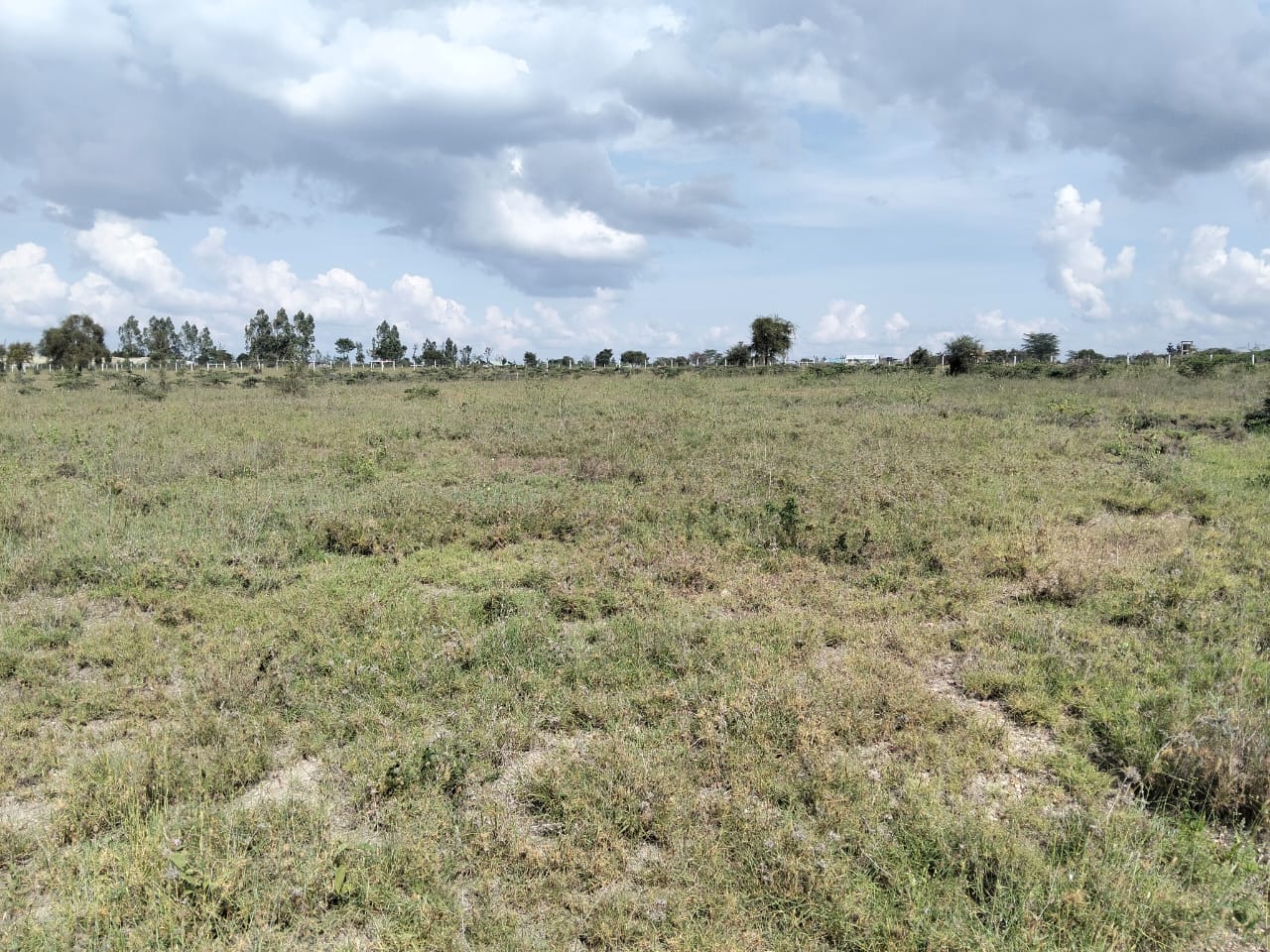 Prime acreage available in the Kitengela–Kisaju area just 900 metres from tarmac. Choose from 4-acre, 2-acre, and 1.5-acre parcels ideal for both residential and commercial development.