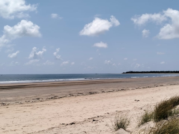 Prime 12-acre beachfront property for sale in Ngomeni. Ideal for resorts, holiday homes, or investment. Perfect sandy beach, ocean views, and massive potential.