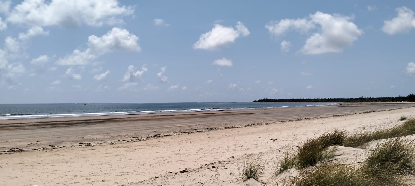 Prime 12-acre beachfront property for sale in Ngomeni. Ideal for resorts, holiday homes, or investment. Perfect sandy beach, ocean views, and massive potential.