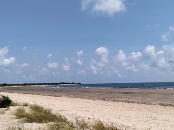 Prime 12-acre beachfront property for sale in Ngomeni. Ideal for resorts, holiday homes, or investment. Perfect sandy beach, ocean views, and massive potential.