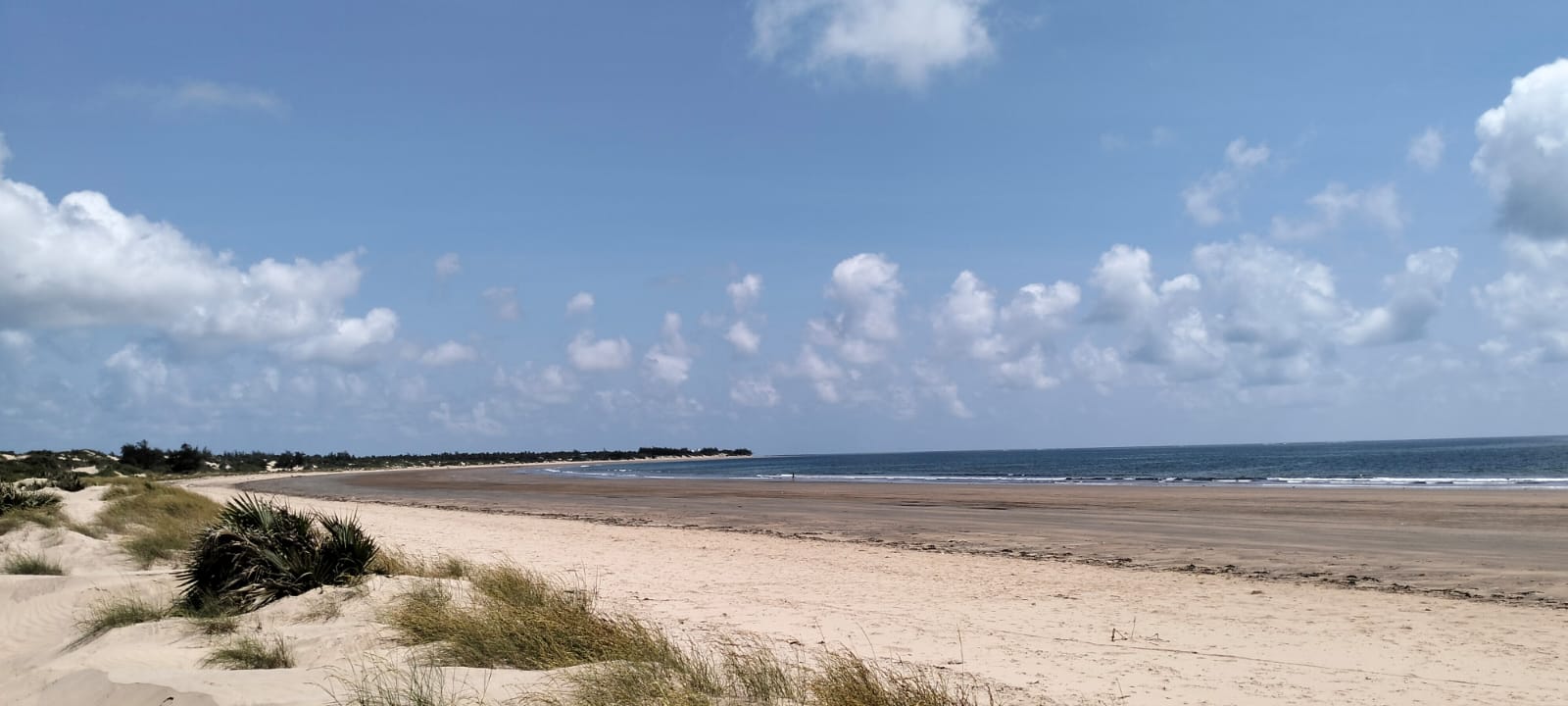 Prime 12-acre beachfront property for sale in Ngomeni. Ideal for resorts, holiday homes, or investment. Perfect sandy beach, ocean views, and massive potential.