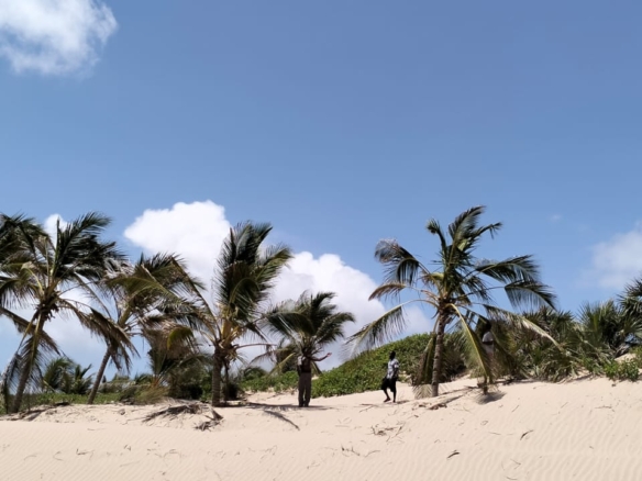 Prime 12-acre beachfront property for sale in Ngomeni. Ideal for resorts, holiday homes, or investment. Perfect sandy beach, ocean views, and massive potential.
