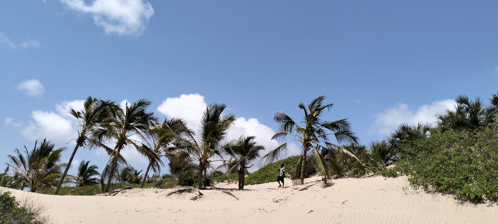 Prime 12-acre beachfront property for sale in Ngomeni. Ideal for resorts, holiday homes, or investment. Perfect sandy beach, ocean views, and massive potential.